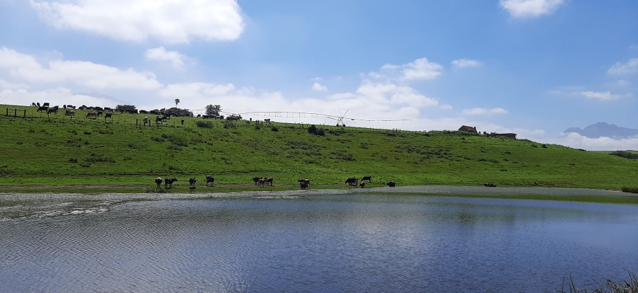 Commercial Property for Sale in Geelhoutboom AH Western Cape